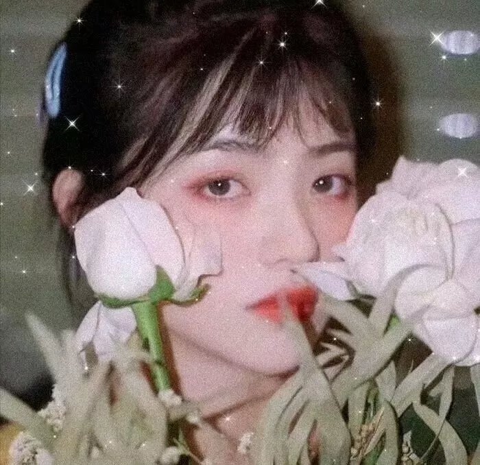 完全夏绿蒂
